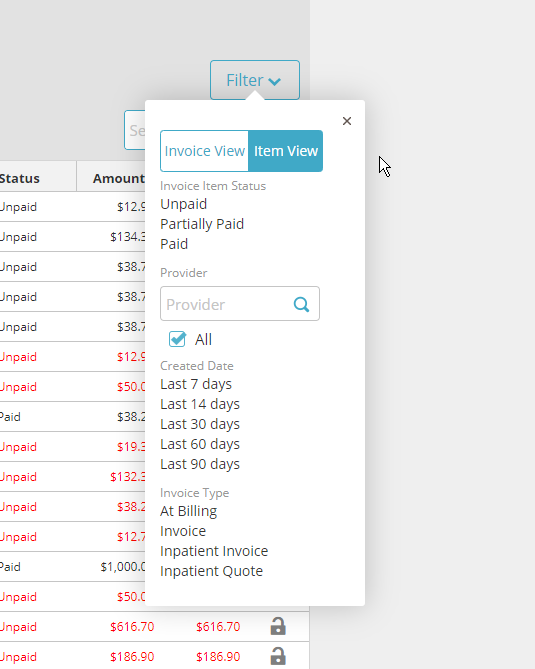 Invoice Item View Screenshot