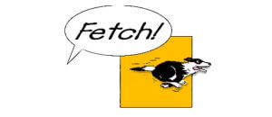 Fetch logo